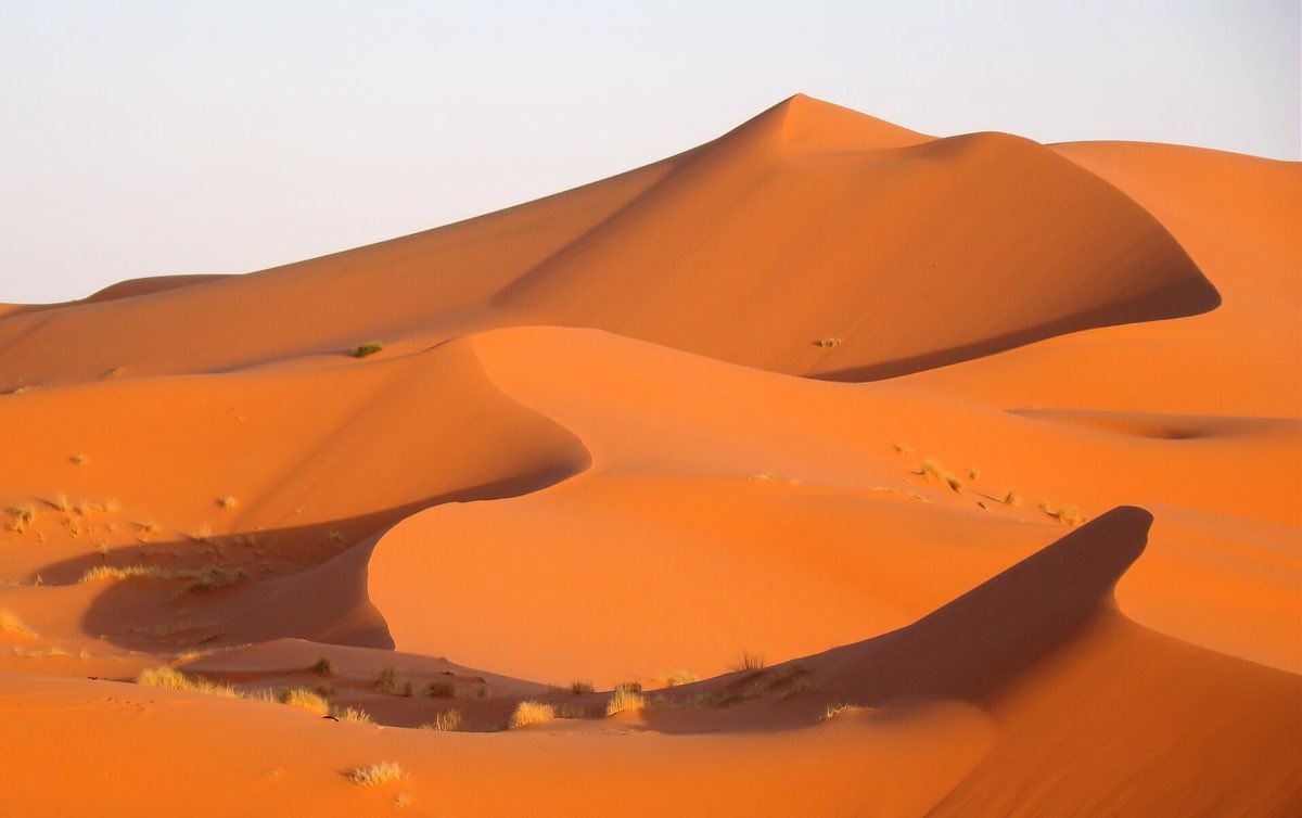 Orange dunes of Erg Chebbi