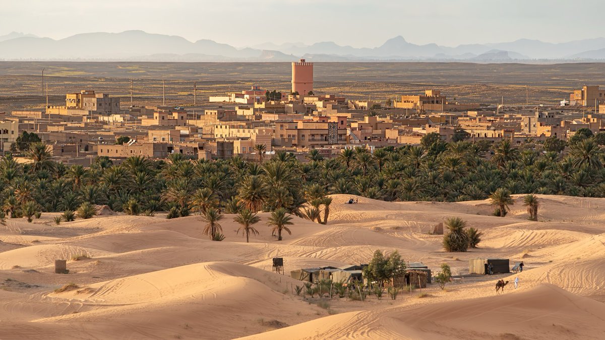 Merzouga village with palm grove, dunes in front